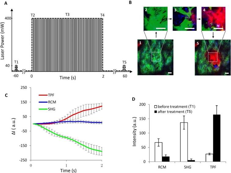 Theranostics Image