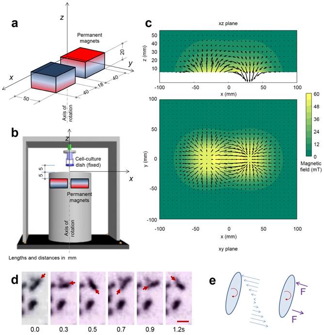 Theranostics Image