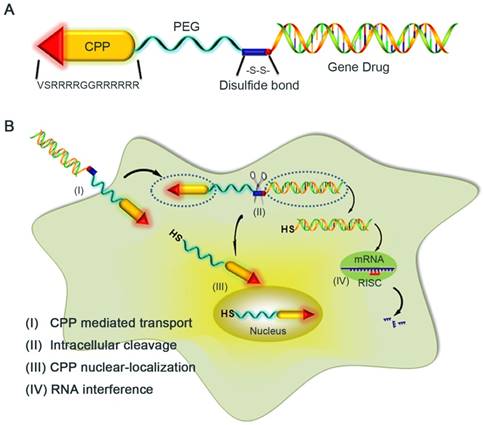 High-Yield Synthesis of Monomeric LMWP(CPP)-siRNA Covalent Conjugate ...