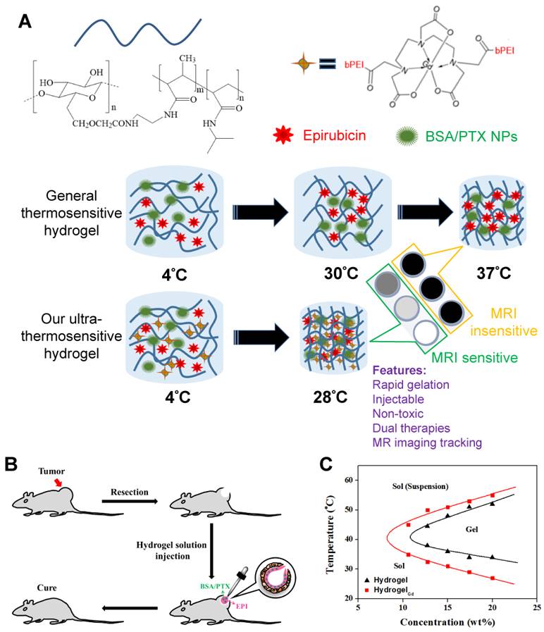 Theranostics Image