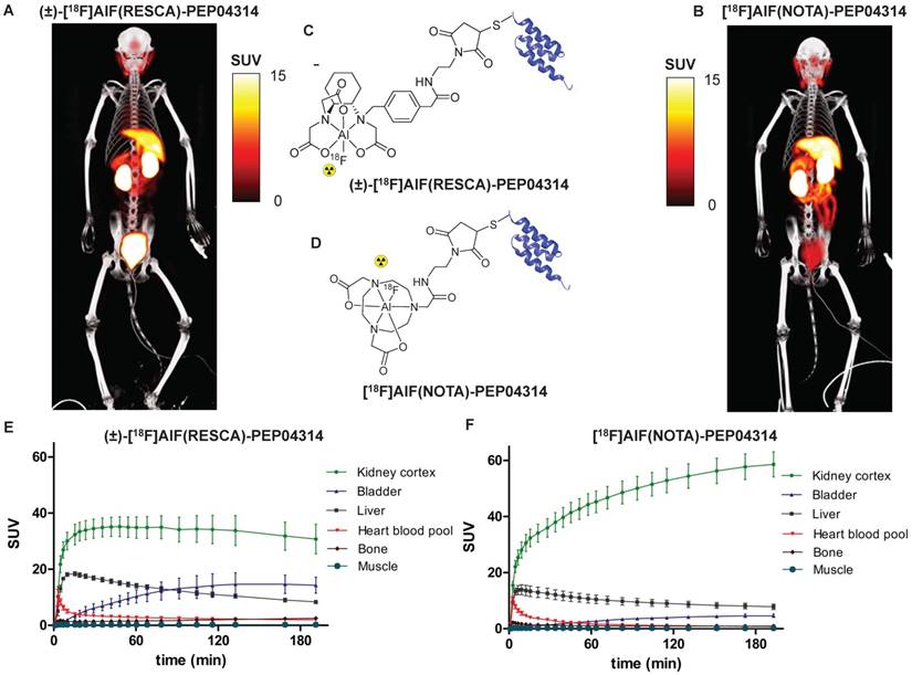 Theranostics Image