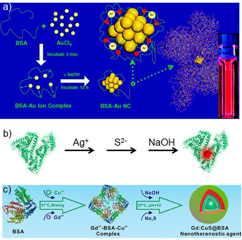 Theranostics Image