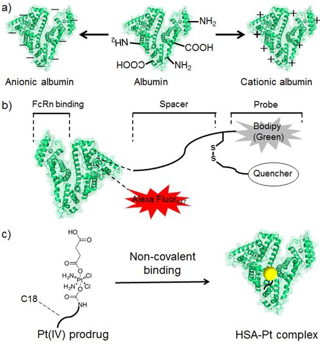 Theranostics Image