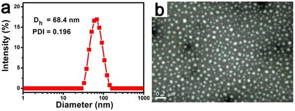 Theranostics Image