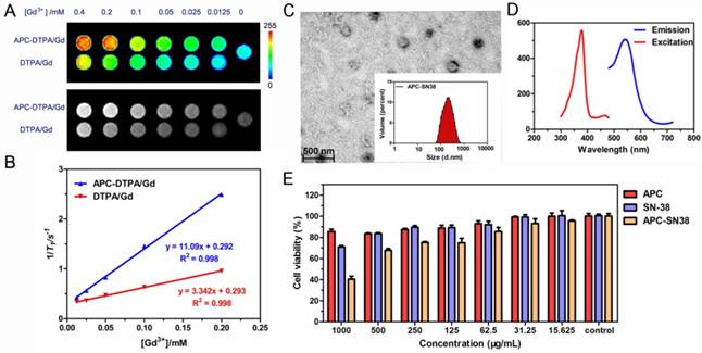 Theranostics Image