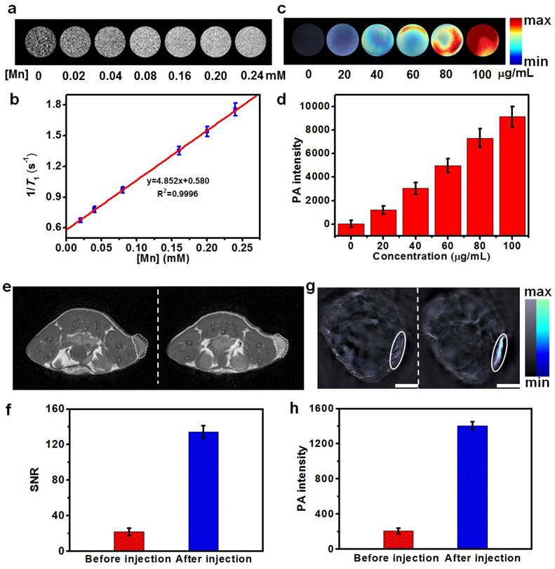 Theranostics Image