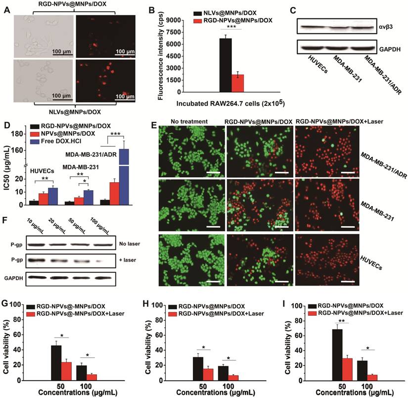 Theranostics Image