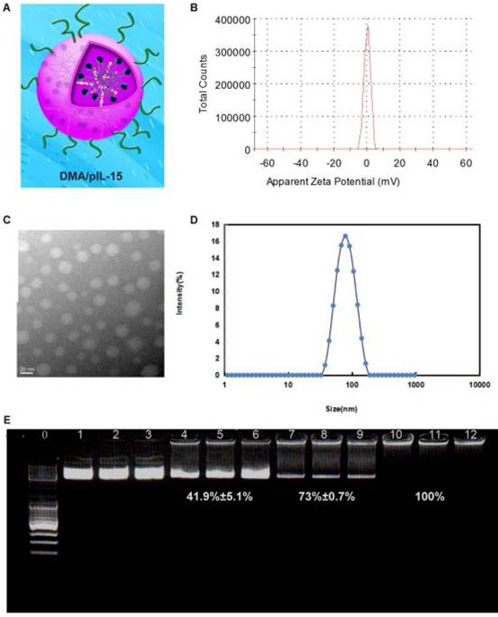 Theranostics Image