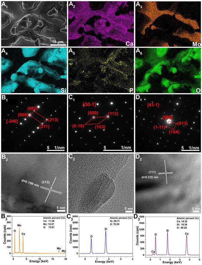 Theranostics Image