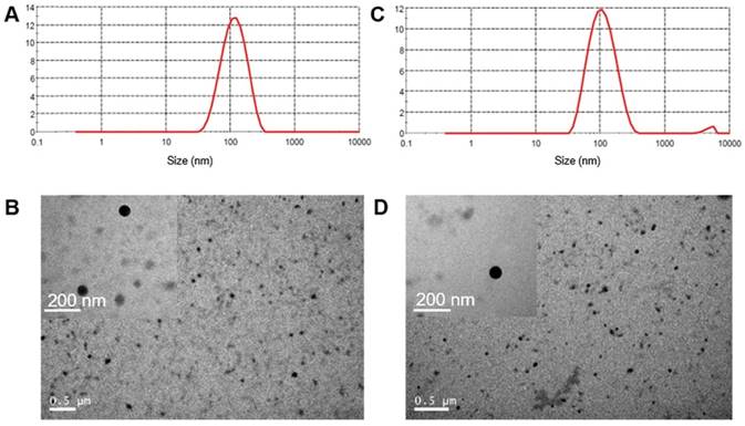 Theranostics Image