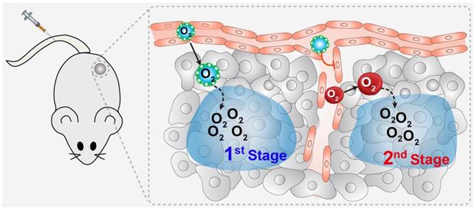 Theranostics Image