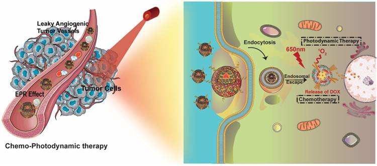 Theranostics Image