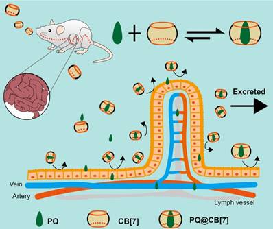 Theranostics Image