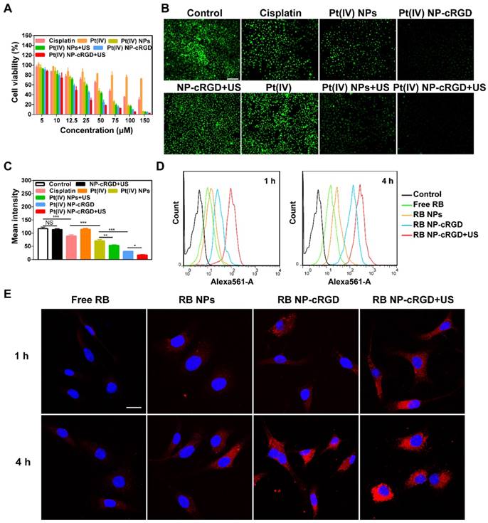 Theranostics Image