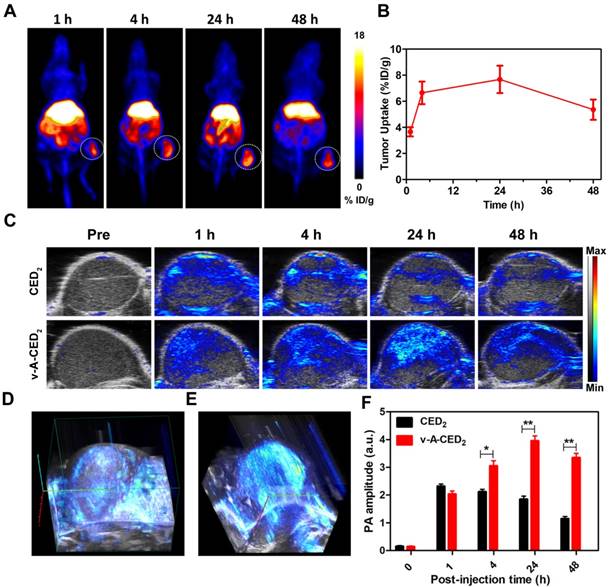 Theranostics Image