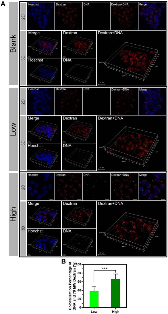 Theranostics Image