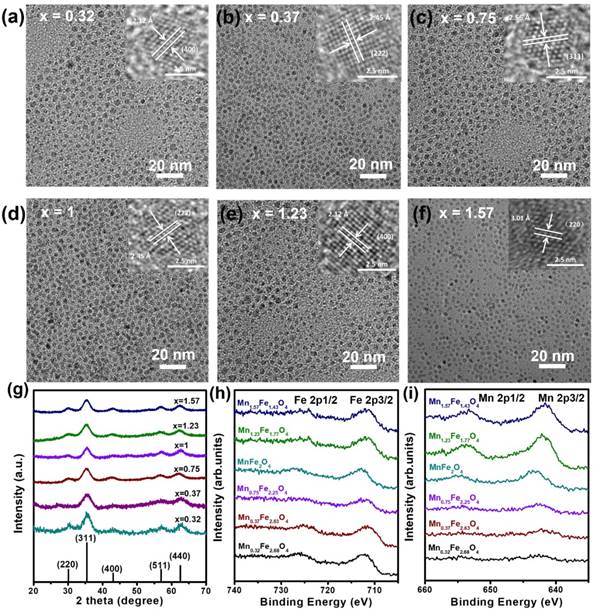 Theranostics Image