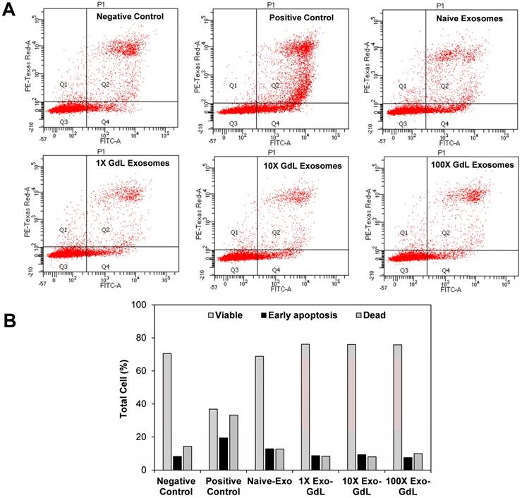 Biodistribution of gadolinium- and near infrared-labeled human ...