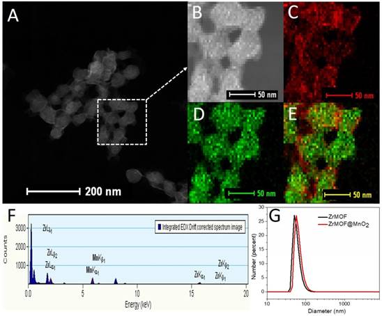 Theranostics Image