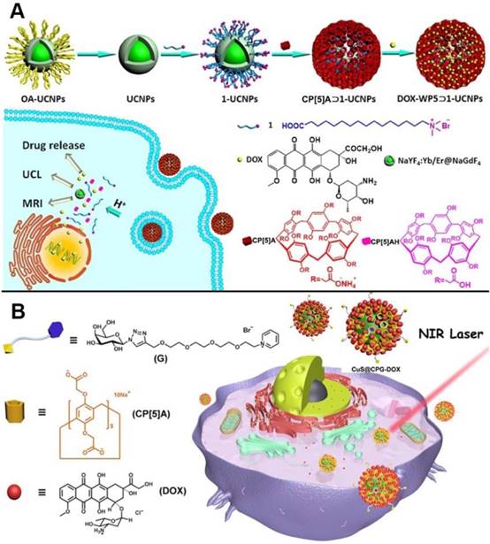 Theranostics Image