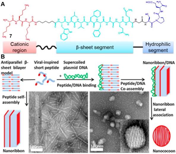 Theranostics Image