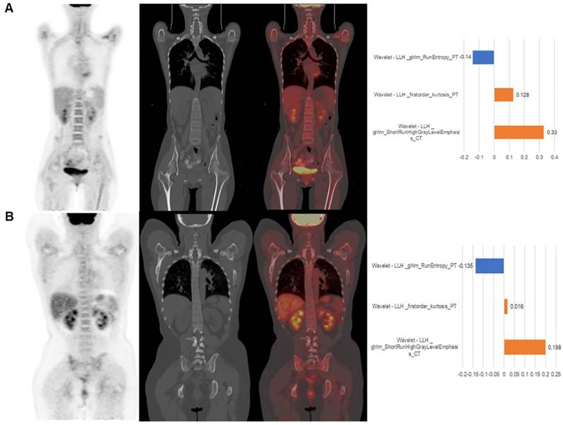 Theranostics Image