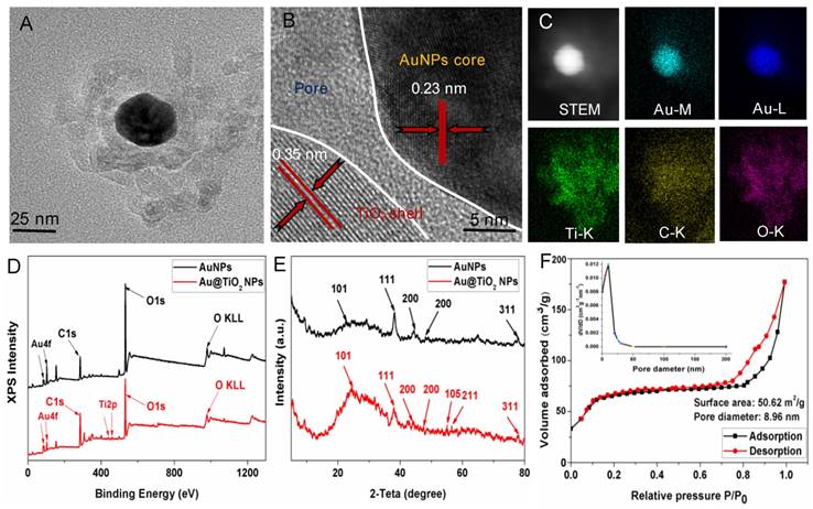 Theranostics Image