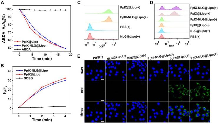 Theranostics Image