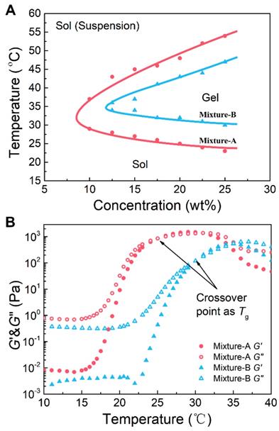 Theranostics Image