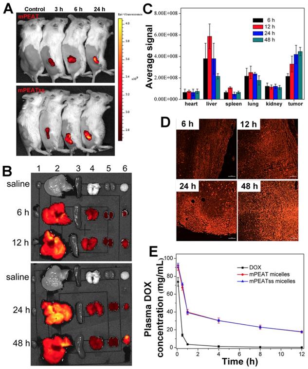 Theranostics Image