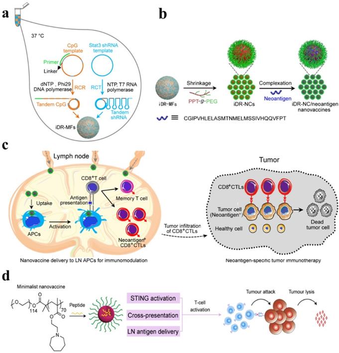 Theranostics Image