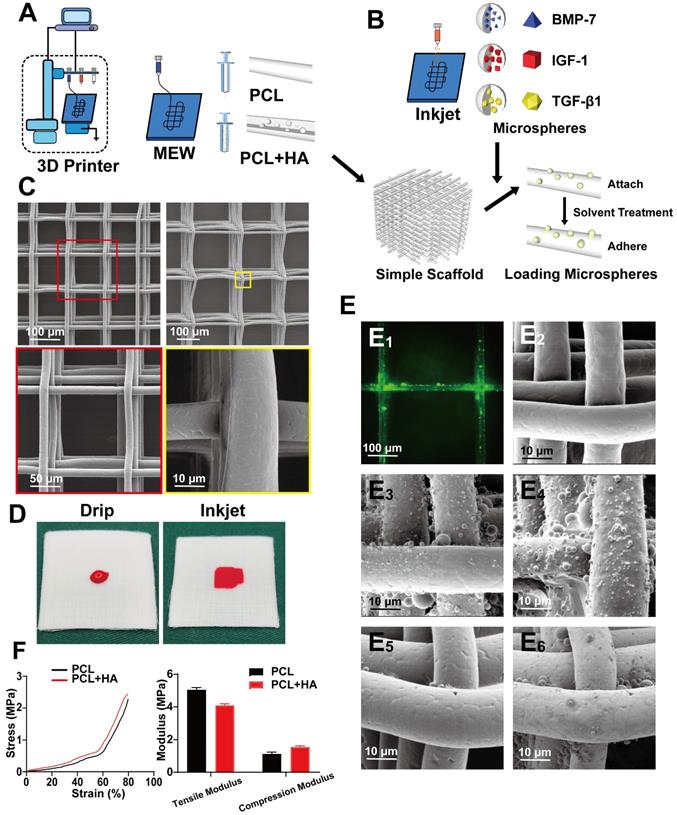 Theranostics Image