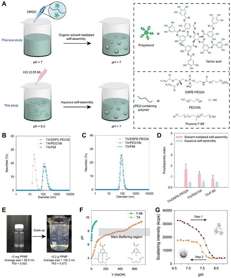 Theranostics Image