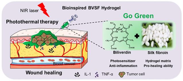 Theranostics Image
