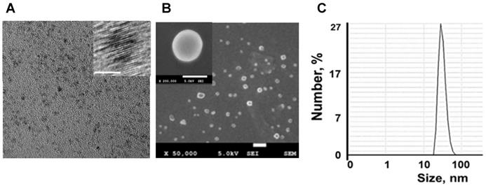 Theranostics Image