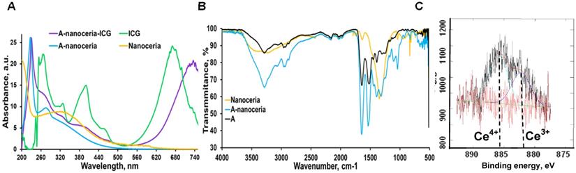 Theranostics Image