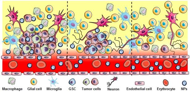 Theranostics Image