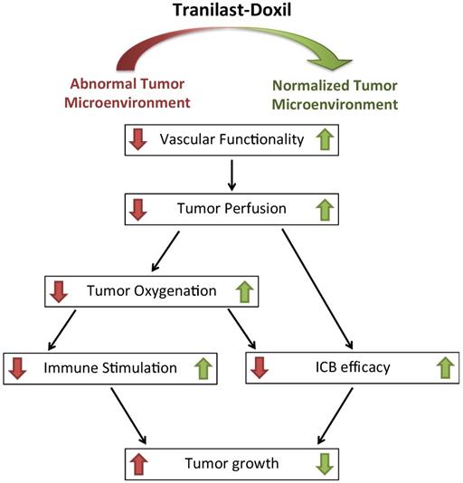 Theranostics Image