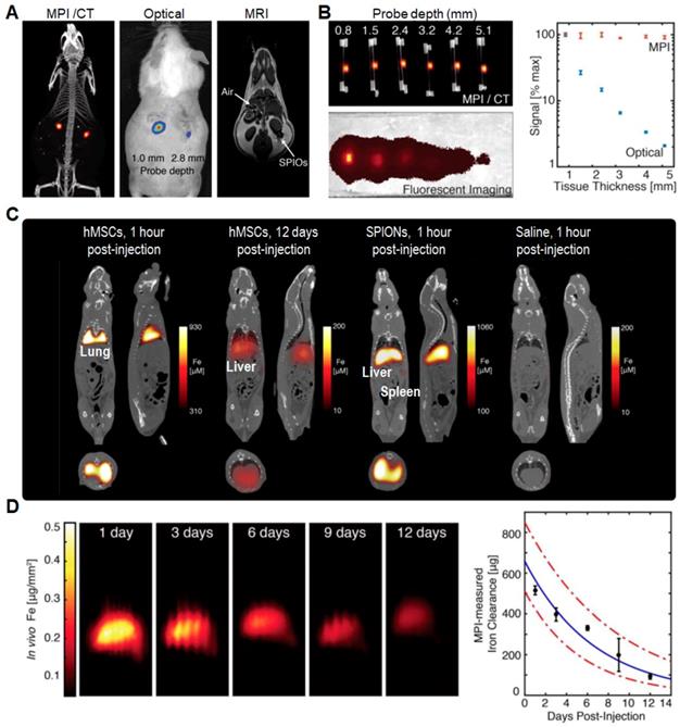 Theranostics Image