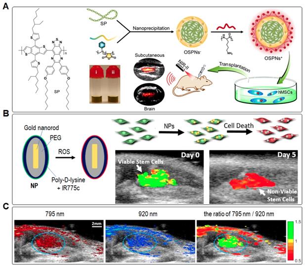 Theranostics Image