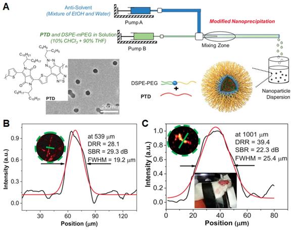 Theranostics Image