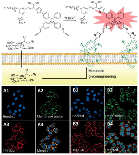 Theranostics Image