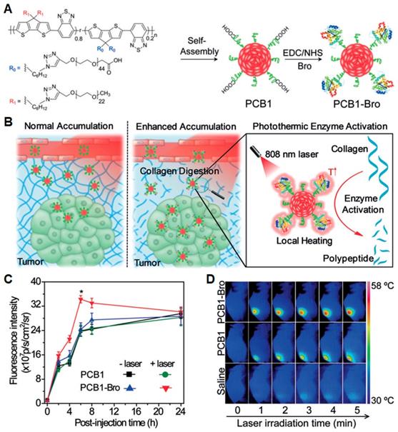 Theranostics Image