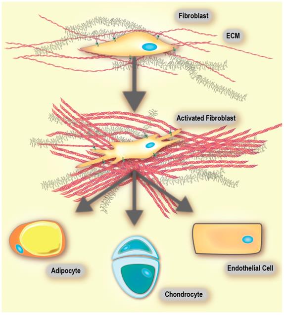 Theranostics Image