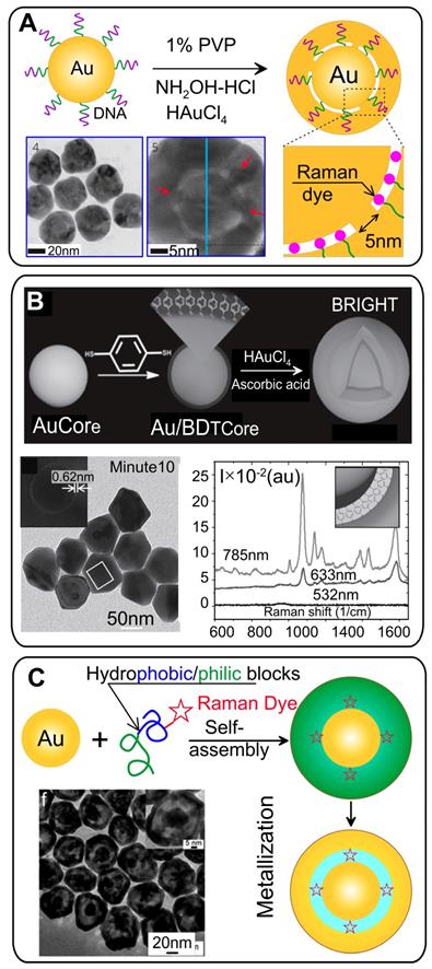 Theranostics Image