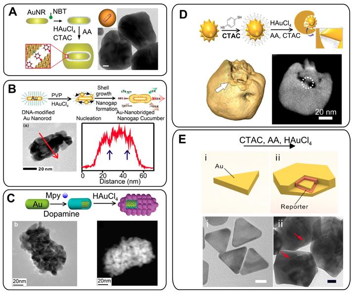 Theranostics Image