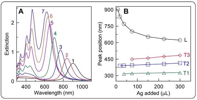 Theranostics Image