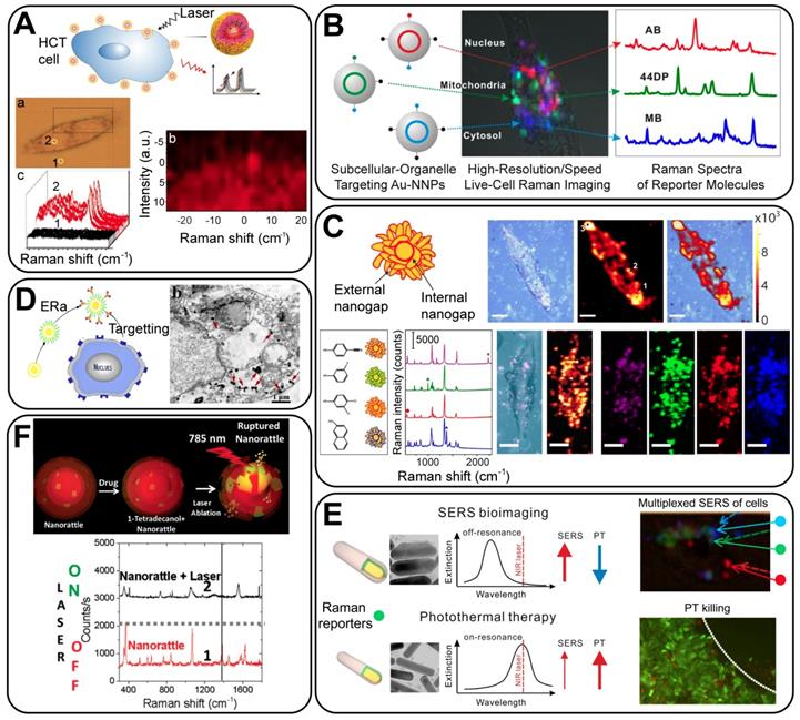 Theranostics Image