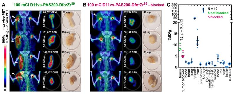 Theranostics Image