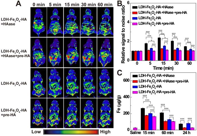 LDH-stabilized ultrasmall iron oxide nanoparticles as a platform for ...